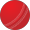 Cricket Logo